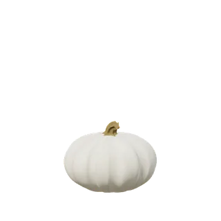 White pumpkin, tiny