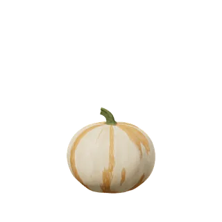 Pale pumpkin, small, with a strong lean