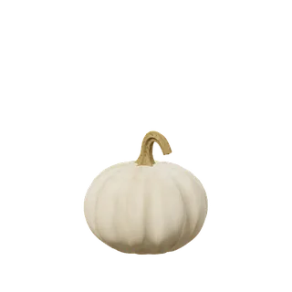 Pale pumpkin, a long curly stem