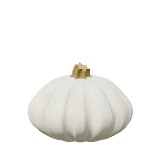 White pumpkin, flat and deeply ribbed