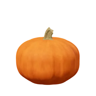 Orange pumpkin, full and round