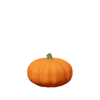 Orange pumpkin, small and softly ribbed