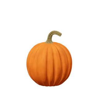 Orange pumpkin, a long hooked stem