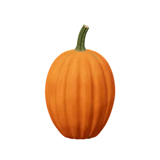 Orange pumpkin, tall, with a slender stem