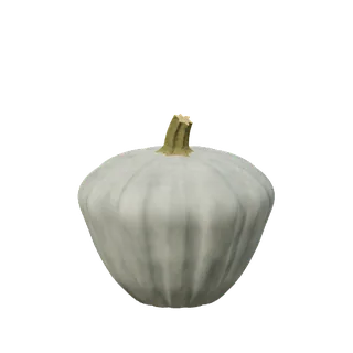 Blue-grey pumpkin, wide shoulders, narrow base