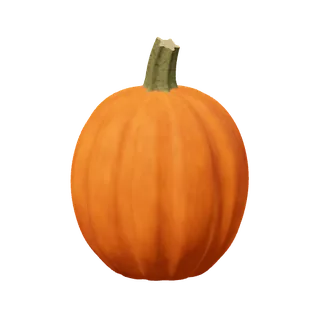 Orange pumpkin, the classic lantern pumpkin