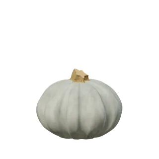 Blue-grey pumpkin, ribbed