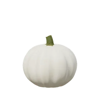 White pumpkin, smooth