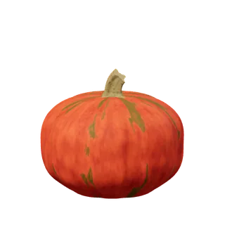 Deep russet pumpkin, full and round