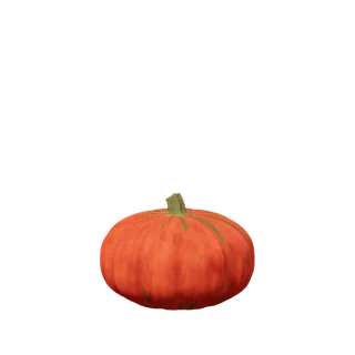 Deep russet pumpkin, small and softly ribbed