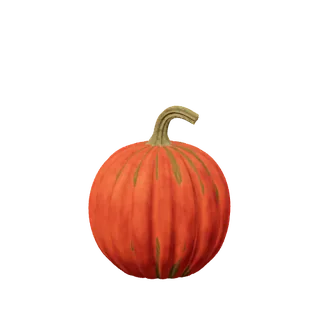Deep russet pumpkin, a long hooked stem