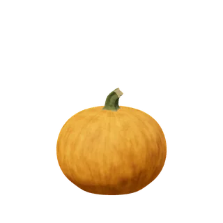 Amber pumpkin, almost no ribs
