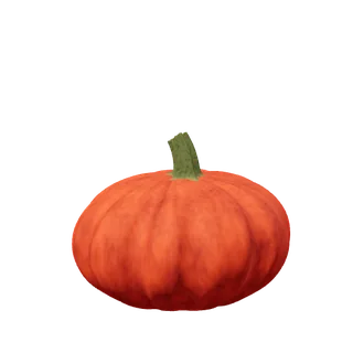 Deep russet pumpkin, squat, leaning over
