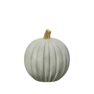 Blue-grey pumpkin, tall, with twenty fine ribs