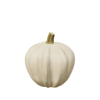Pale pumpkin, one side swollen